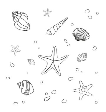 Farklı deniz yıldızları ve deniz kabukları beyaz arka planda izole edilmiş çizgiler çiziyor. - Vektör illüstrasyonu