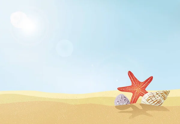 美しい貝殻や海の星と海岸 夏の日のビーチの背景 ベクターイラスト — ストックベクタ