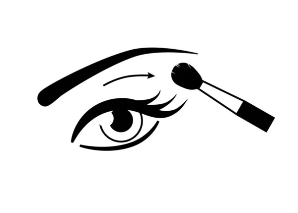 Kadın Gözü Fırçası Resmetmek Için Makyaj Yapıyorum Beyaz Arkaplanda Izole — Stok Vektör