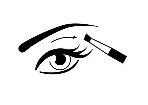 Ojo Femenino Maquillaje Cepillo Vector Icono Sombra Ojos Aplicando Esquema — Archivo Imágenes Vectoriales