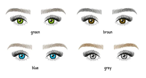 Diferentes Tipos Colores Ojos Cejas Ilustración Ojos Mujer Con Pestañas — Vector de stock