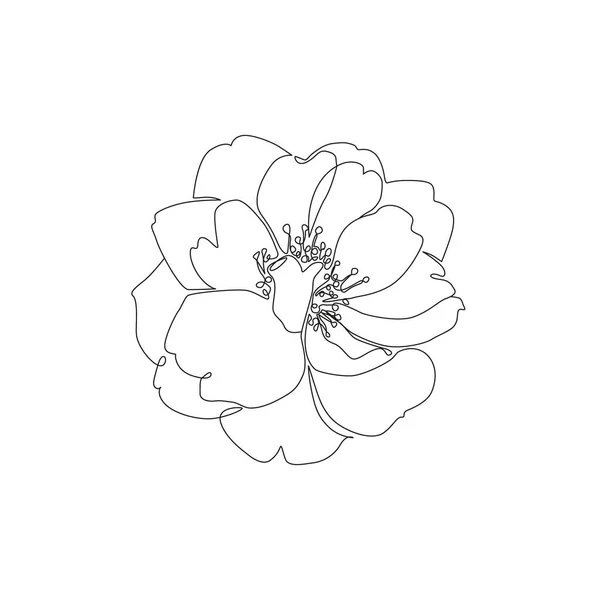 ラインアートローズフラワーイラスト 花柄プリントやスタイリッシュなタトゥーのための単一の連続ラインアート 概要植物性ポスター ベクトルデザイン — ストックベクタ