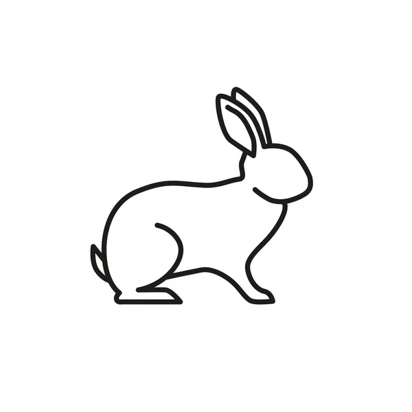 Kanin Enkel Platt Linje Ikon För Webben Bunny Linjär Illustration — Stock vektor