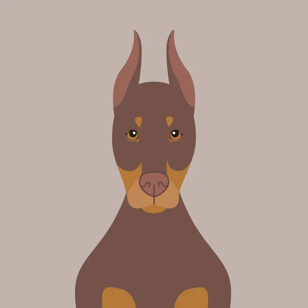 Illustration Pour Chien Doberman Pinscher Chien Brun Dessin Animé Pure — Image vectorielle