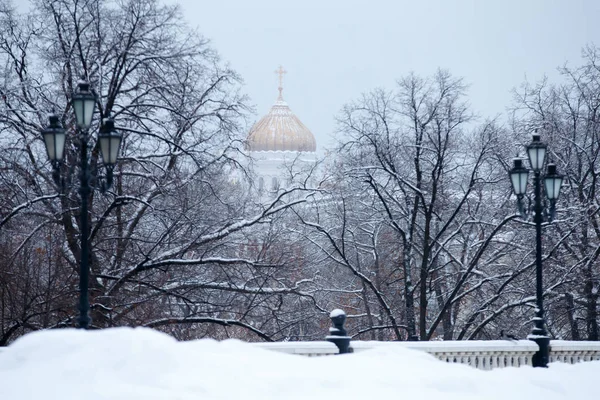 Invierno Cúpulas Doradas Catedral Cristo Salvador Vista Través Del Parque — Foto de Stock