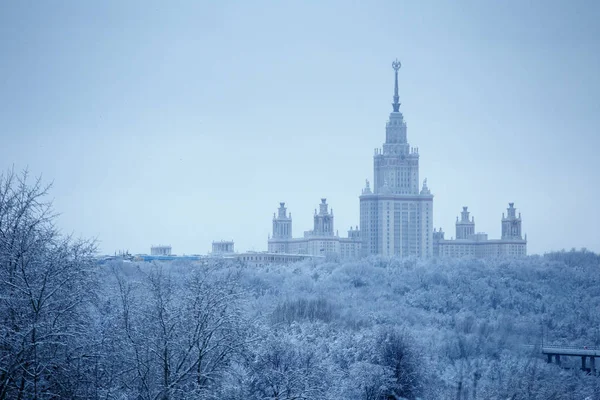 Husté Sněžení Moskvě Sněhem Pokrytých Moskevské Státní Univerzity Parku Kolem — Stock fotografie