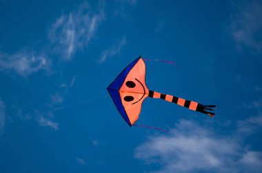 Makara Sankranti, uçan uçurtma ve uçurtma havada bulut gökyüzü.