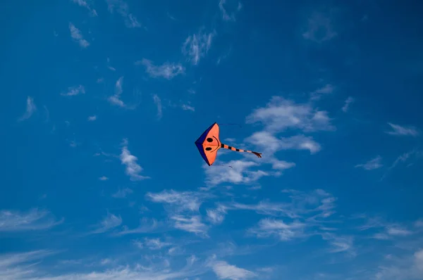 Makara Sankranti Pappersdrake Och Kite Luften Cloud Sky — Stockfoto