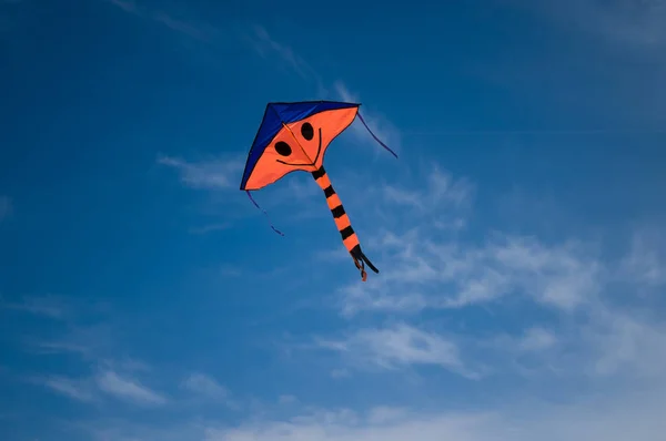 Makara Sankranti Pipa Voadora Pipa Céu Nuvem — Fotografia de Stock