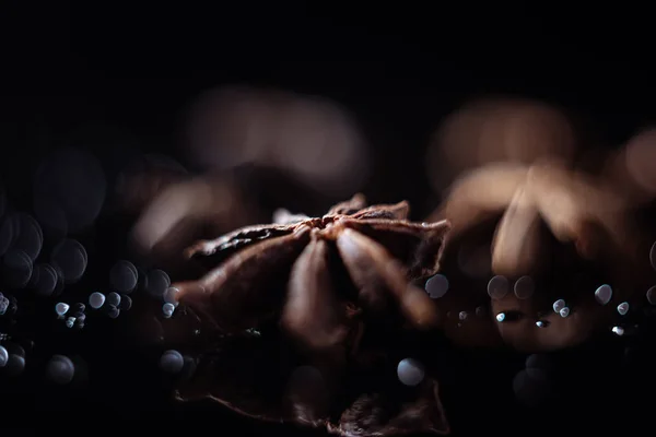 Anise Badian Water Drops Black Background — Stock Photo, Image