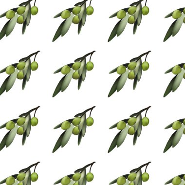 Yeşil Yunan Zeytin ile Seamless modeli