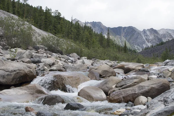 Doğu Sayan yaz dağ Nehri