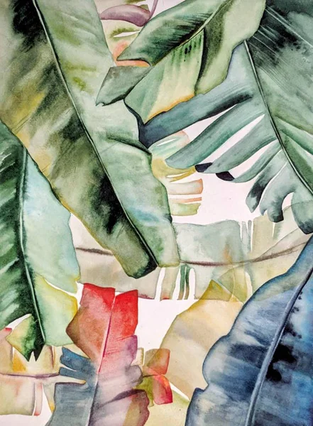 열 대 색된 식물의 수채화 손으로 그린 그림 — 스톡 사진