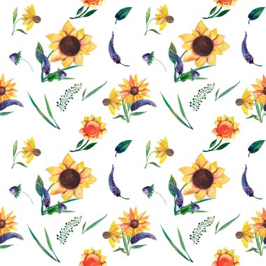 Beyaz zemin üzerine suluboya seamless modeli. Ayçiçeği, yaprakları ve yabani otlar