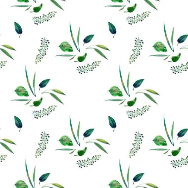 Beyaz zemin üzerine suluboya seamless modeli. Vahşi yaprak, otlar ve mor çiçekler vb.