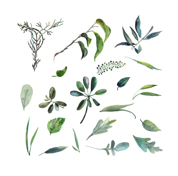 Büyük beyaz zemin üzerine suluboya vahşi yeşil otlar ayarla