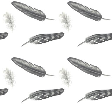 Dikişsiz grafik desen. Siyah ve beyaz birdfeathers