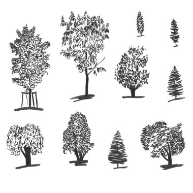 Handdrawn mürekkep ağaçlarının ayarlayın. Kabataslak çizimler kümesi. Ladin kartları ve ambalaj tasarımı için siyah mürekkep ve fırça çizimler