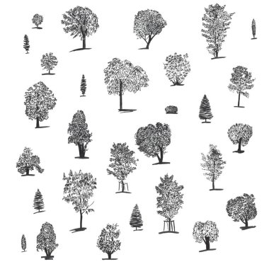 İzole handdrawn mürekkep ağaçlar büyük kümesi. Farklı ağaç içerir: Ladin, kestane, bush, meşe, kavak, huş, akçaağaç.