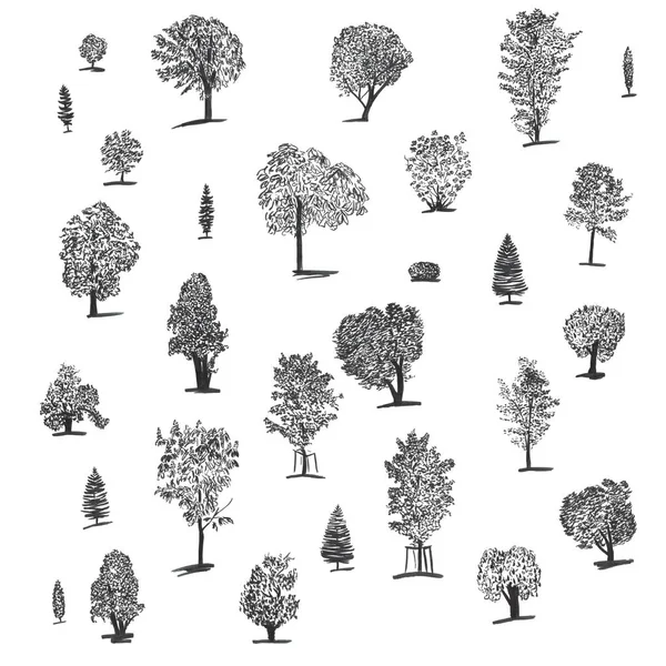 大一套手绘的孤立的墨树。包括不同的树木: 云杉, 栗子, 灌木, 橡木, 杨树, 桦树, 枫树. — 图库照片