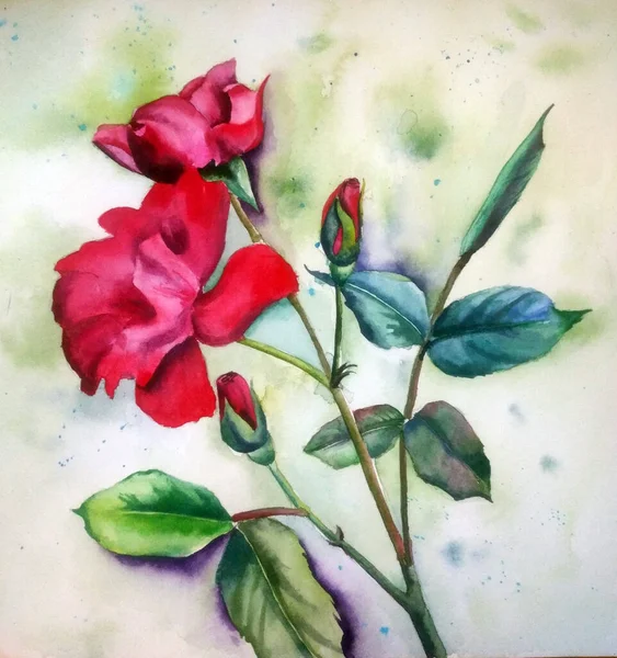 Handdrawn watercolor illustration. Beautiful garden red roses on green background. — Stock Photo, Image