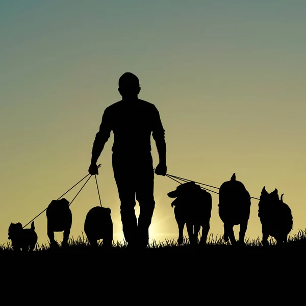 Silhouette di cani da passeggio uomo al modello tramonto — Vettoriale Stock