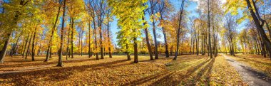 Altın Sonbahar Kadriorg Park Parklar panoramik manzara. Tallinn, Estonya
