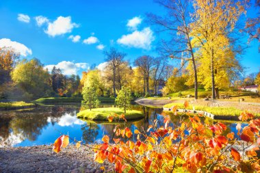 Taşlar ve Kadriorg Park Su birikintisi oluşan bir Japon Bahçesi ile altın sonbahar manzara. Tallinn, Estonya