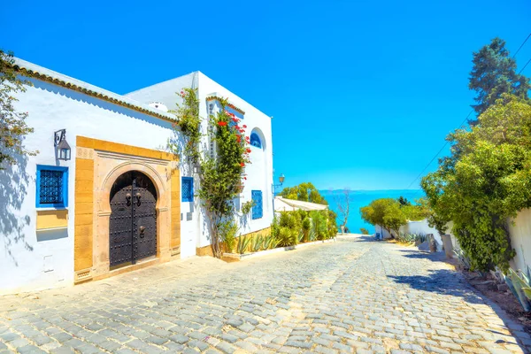 Street Sidi Bou Said Fehér Kék Városában Tunézia Észak Afrika — Stock Fotó