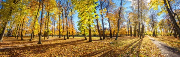 Paesaggio Panoramico Del Parco Nel Parco Kadriorg Autunno Dorato Tallinn — Foto Stock