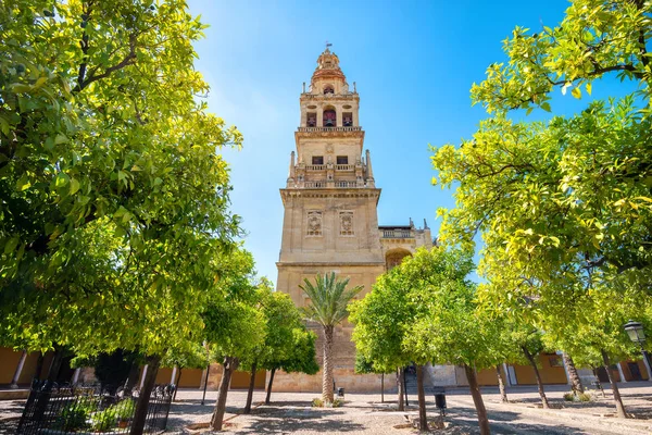 Słynnej Dzwonnicy Katedry Meczetu Mezquita Dziedziniec Kordobie Andaluzja Południowa Hiszpania — Zdjęcie stockowe