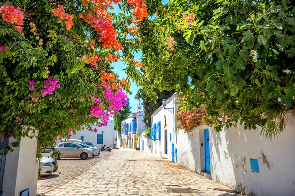 Mavi Beyaz Şehir Sidi Bou Said Çiçek Açması Ağaçlarda Odak — Stok fotoğraf