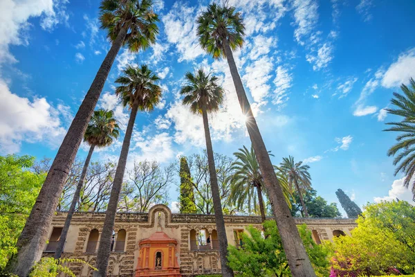 Nádvoří královského Alcazarského paláce v Seville Andalusie, Španělsko — Stock fotografie