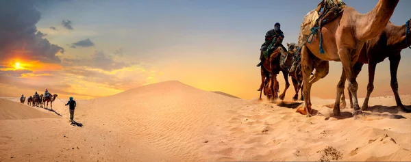 Safari turizmus a tevék. Szahara sivatag, Tunézia, Észak-Afrikában — Stock Fotó