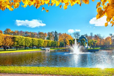 Altın Sonbahar 'da güzel göleti olan Park Kadriorg. Tallinn, doğu.
