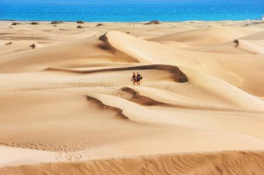 National park of Maspalomas sand dunes. Gran Canaria, Canary isl clipart
