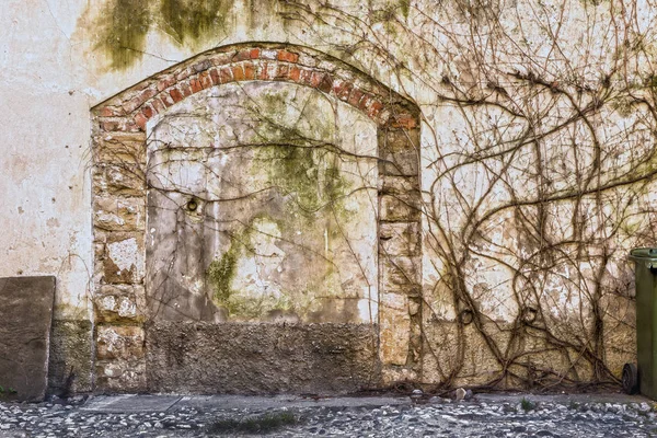 Стара стіна покрита сухою плющем і застарілою цегляною аркою. бекграунду — стокове фото