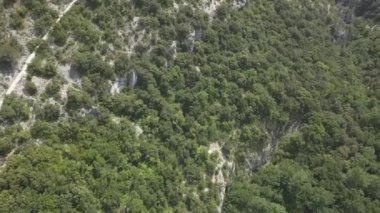 Bisikletçi Senanque Abbey Road tarafından dağın üzerinde sürüş bir araçla Provence, Güney Fransa ve lavanta alanlarında bulunan