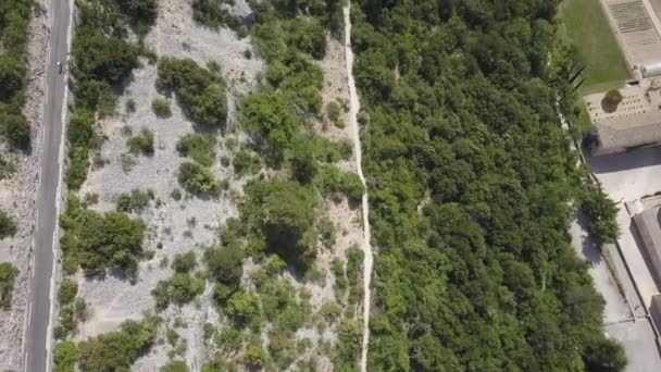 Senanque Abbey Provence Güney Fransa Bulunan Bir Bisikletçi Sürüş Araba — Stok video
