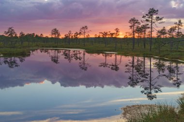 Suru Suursoo bataklık üzerinden canlı bulutlar, su, Harju İlçesi, Estonya yansıması ile ateşli günbatımı