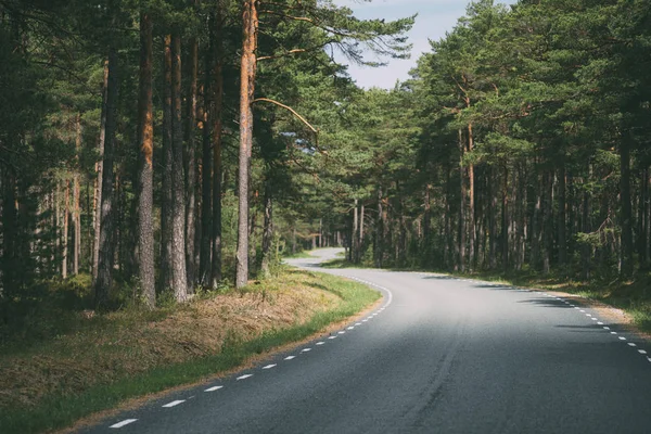 Doğal iğne yapraklı ormanda boş dolambaçlı yol, İskandinav manzara