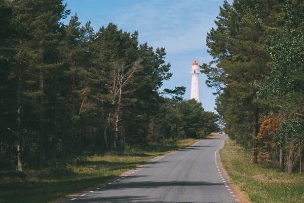 Çam ormanı, İskandinav manzara ile deniz feneri giden yol