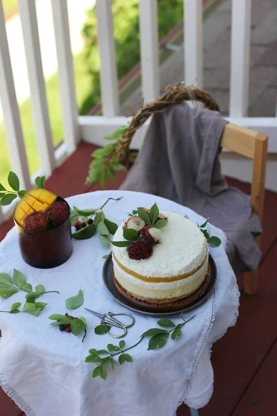 Hindistan cevizi mango chesecake yaz arka planda