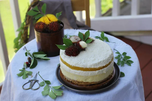 Hindistan cevizi mango chesecake yaz arka planda