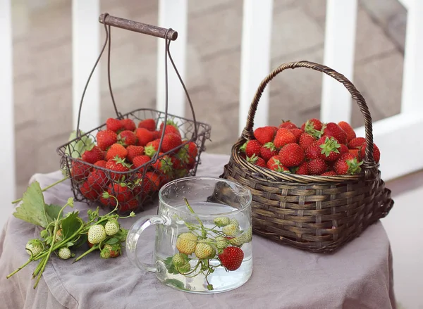 Çilek iç jar, yaz arka plan, komposto