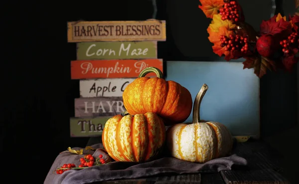 Güz pumpkins tablo, falls çelenk, hasat