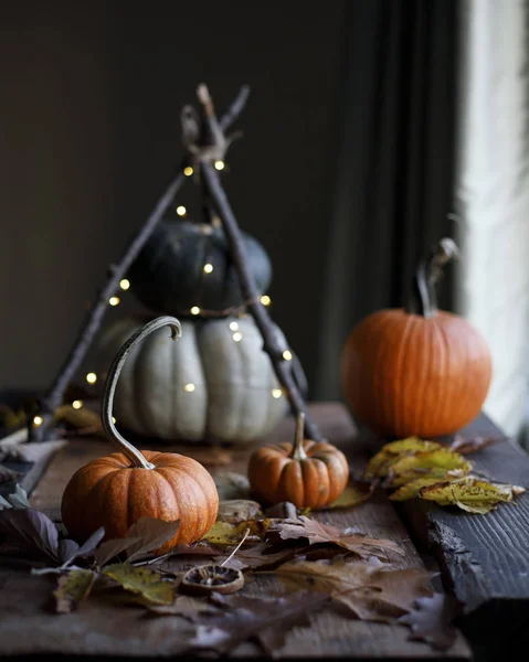 Kabaklar ahşap masa siyah arka plan ışıkları dekorasyon düşmek