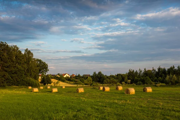 Balya saman çayırda ile manzara
