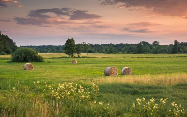 Günbatımı üzerinde çayır ve saman balya