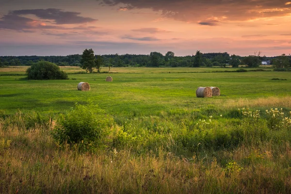 Günbatımı üzerinde çayır ve saman balya